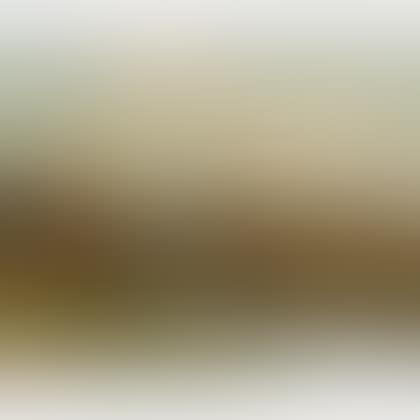 View of a Northern European Town (preview)