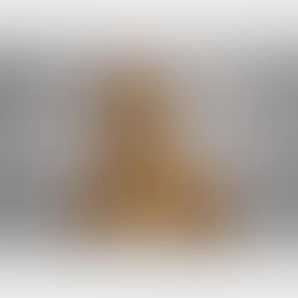 Second Portrait of Sunita (bust) (preview)
