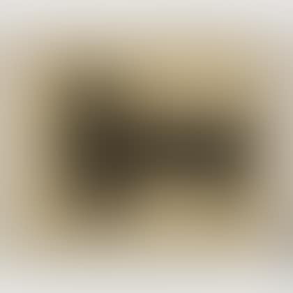 Forma Zoomorfa (preview)