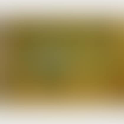 Still Life of Wildflowers (preview)