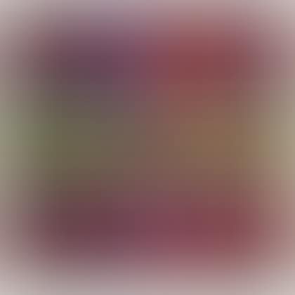 Untitled (Stars) / An Agamograph (preview)
