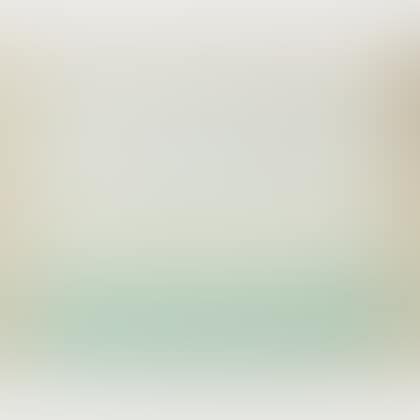 Untitled (PG - 0137) (preview)