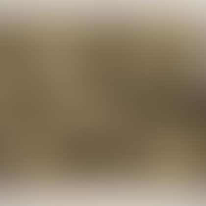 American Woodcock Bird (preview)