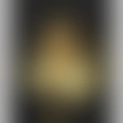 Portrait of an Elegant Lady in an Elaborate Lace Collar (preview)