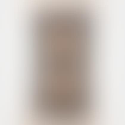 Chinese Rug (preview)