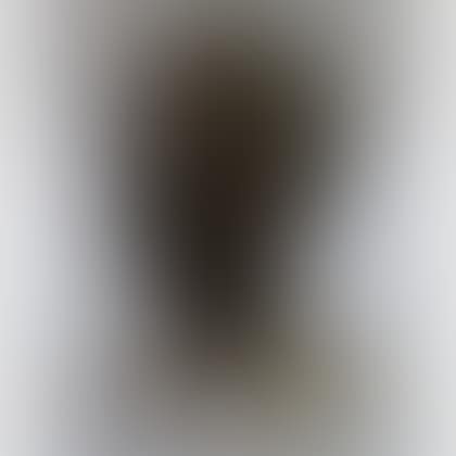 Bust of a Man on a Marble Plinth (preview)