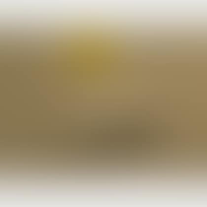 Colombe de l"avenir (preview)