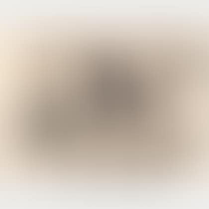 The Two Naked Women (preview)