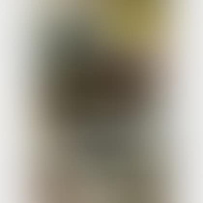 Galerie Maeght Cartons (preview)