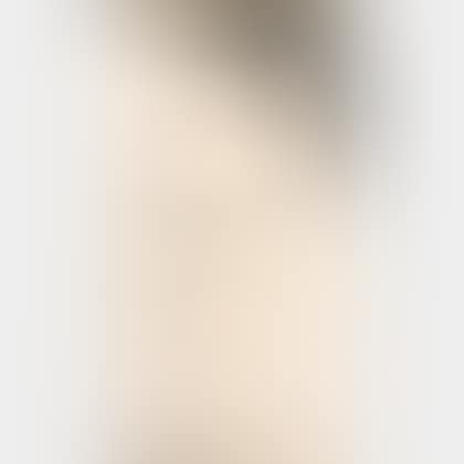 Portrait of the Architect Leistikow (preview)