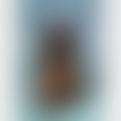 Portal (preview)