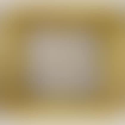 Copley Gallery Frame (preview)