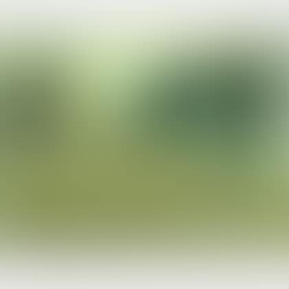 Field with a Haystack (preview)