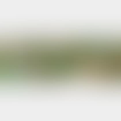 Untitled [Formulation in Red, Green, and Periwinkle] (preview)