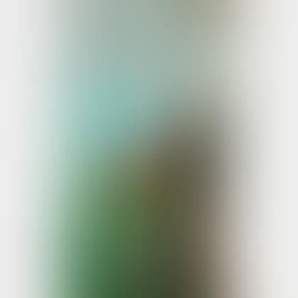 Off Naples (preview)