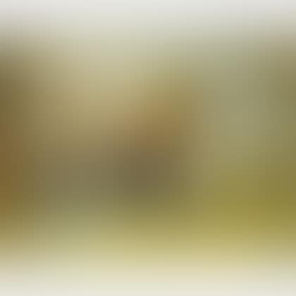 Birdcage and Still Life (preview)