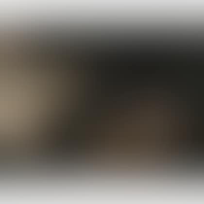 Chivalric Scene (preview)