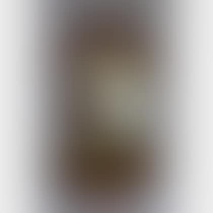 Chippendale Partial-gilt Mahogany Mirror (preview)