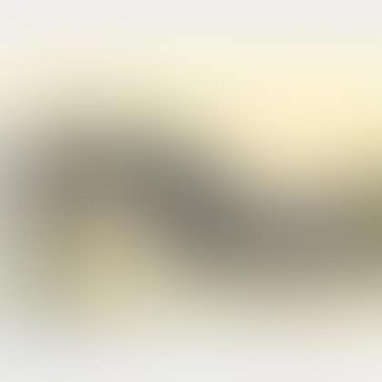 Mounted for the Competition/An Equestrian Scene (preview)