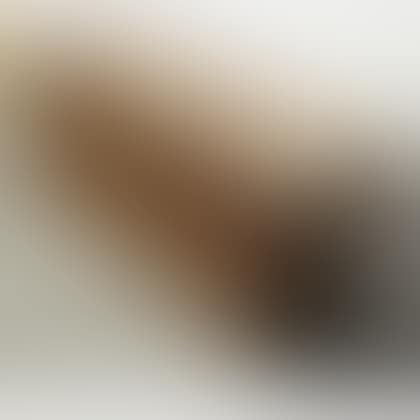 Italian Carved Walnut Cassone (preview)