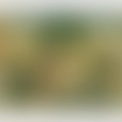 Memorial Picture (preview)