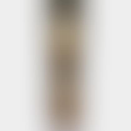 Mahogany Tall Clock by Elgin (preview)