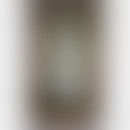 Empire Partial-gilt and Mahogany Veneer Divided Mirror (preview)