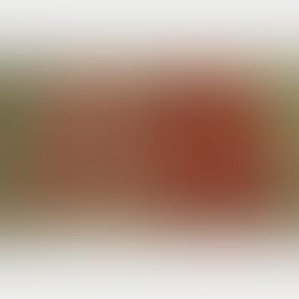 Two Northwest Persian Rugs (preview)