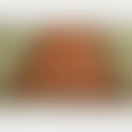 Hamadan Rug (preview)