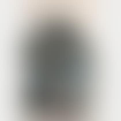 Museum of Fine Arts Boston Celebration 1981 (preview)
