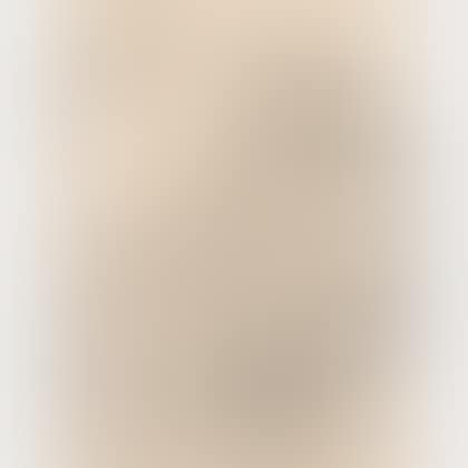 Selbstbildnis mit Hund vor der Staffelei , from DIE SCHAFFENDEN (volume 5; number 2) (preview)