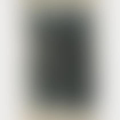 L 36 (preview)