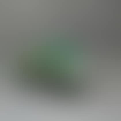 Green-painted Wooden Wheelbarrow (preview)