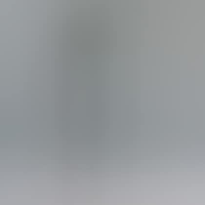 Two Silver-mounted Presentation Canes and a Wrought Steel Walking Stick (preview)