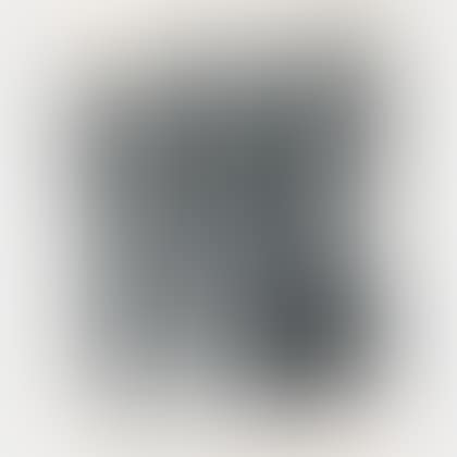 L 120 (preview)