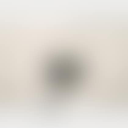THE ARTIST AND THE MODEL /A Portfolio of Twelve Works (preview)