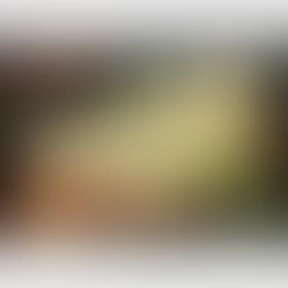 Still Life with Melons (preview)