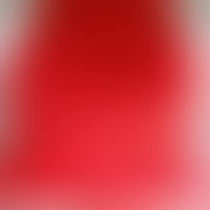 Red Cotton Sateen Whole Cloth Quilt (preview)