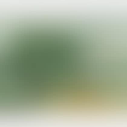 A Group of Two Trees (Olive) (preview)