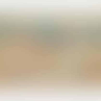 Donkey Rider, alternately titled On the Beach (preview)