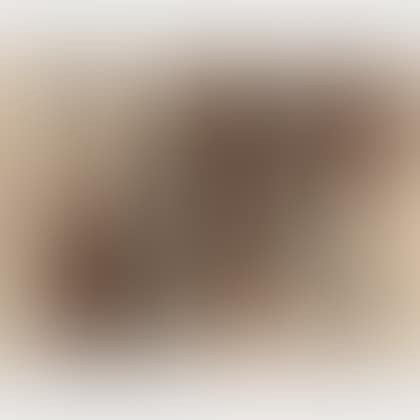 13 (preview)