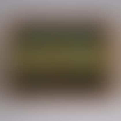 Reverse-painted Glass Portrait of the Paddle Boat The Milwaukie (preview)