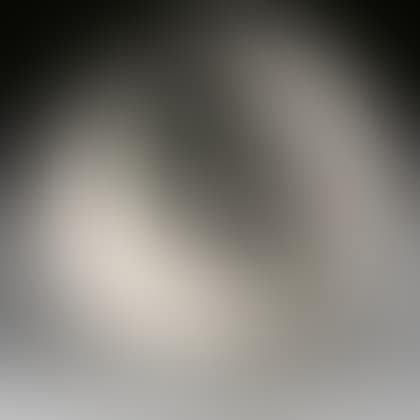 Bird with Worm (preview)