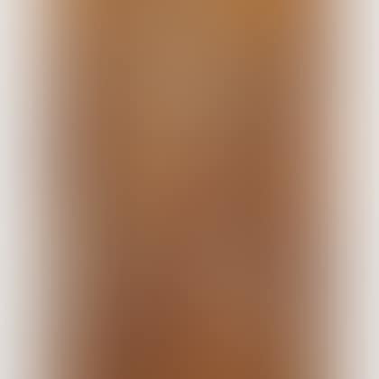 Portrait of the Virgin and Child with Saints, Possibly a Black Madonna (preview)