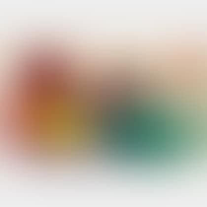 Tulpen und Kakteen (preview)