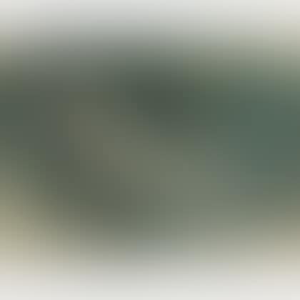 Study for Green Venus (preview)