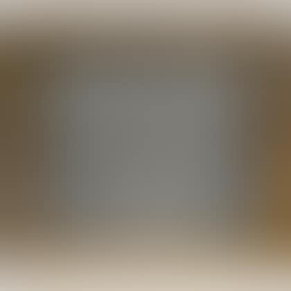 Giltwood and Gesso Frame (preview)