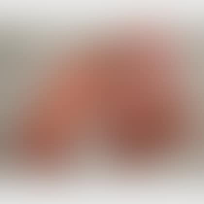 Three Oriental Rug Items (preview)