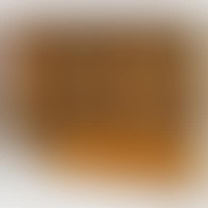 Nine Painted and Grained Wood Paneled Cabinet Doors (preview)