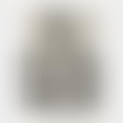 Portrait of a Seated Young Girl (preview)